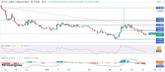 USD/MXN Hoy: Análisis Técnico 22/05 Gráfico Diario | DailyForex.com