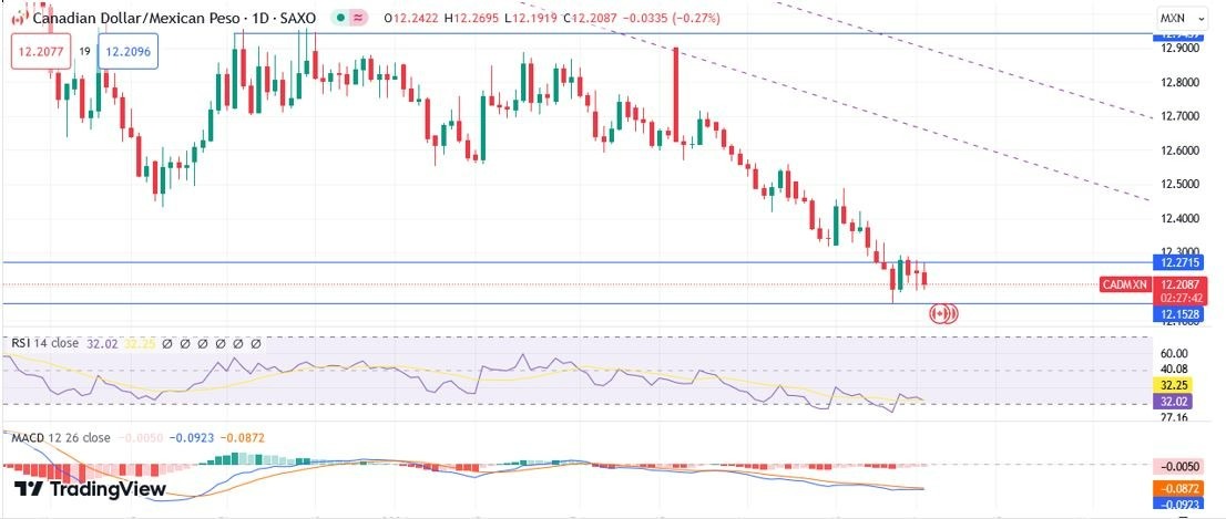 CAD/MXN Hoy: Pronóstico Hoy 03/04 Gráfico Diario 2 | DailyForex.com CAD/MXN Hoy: Pronóstico Hoy 03/04 Gráfico Diario 2 | DailyForex.com