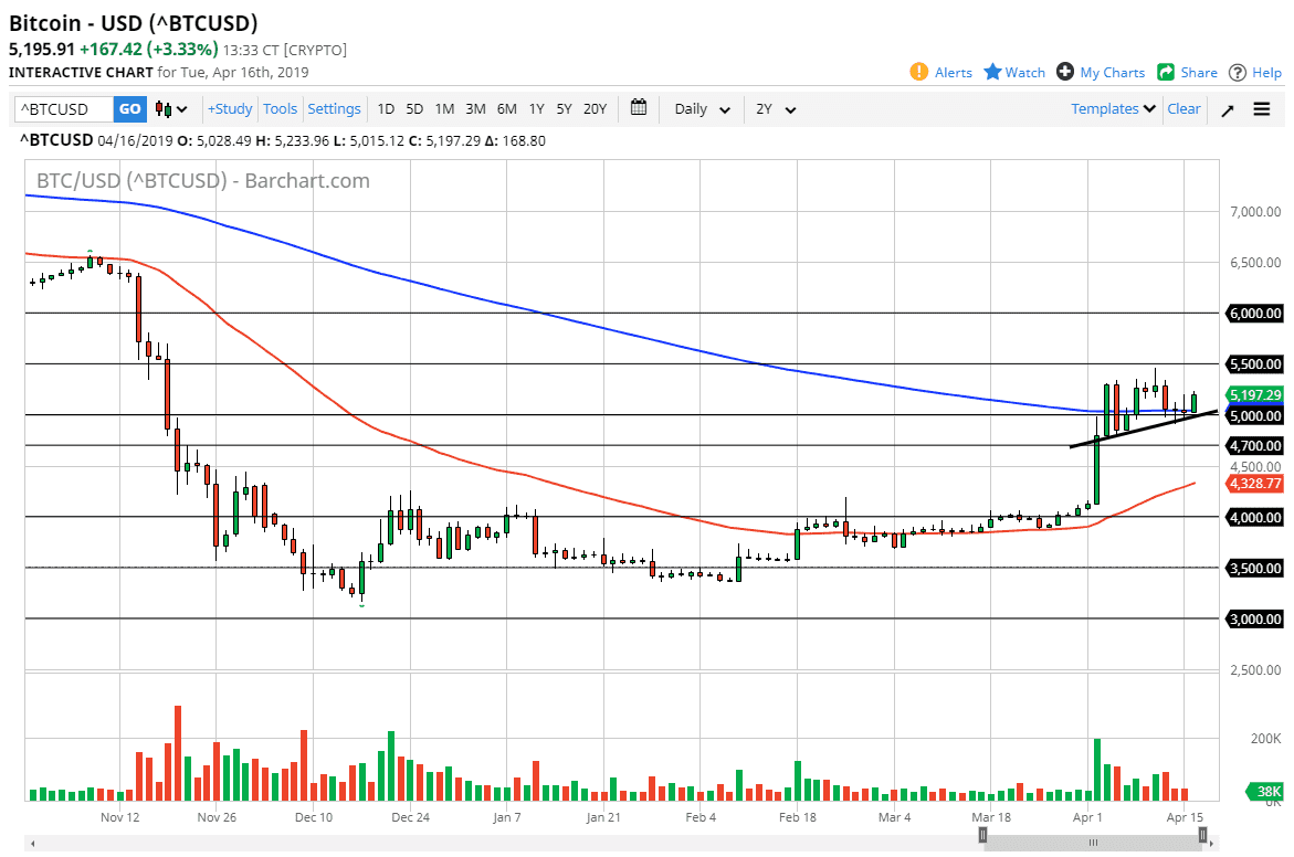 الرسم البياني اليومي للبيتكوين الرسم البياني اليومي للبيتكوين