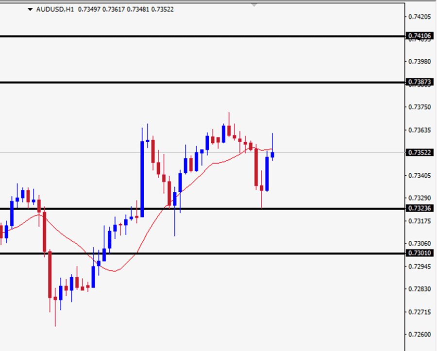 Gráfico diario por hora del AUD/USD 