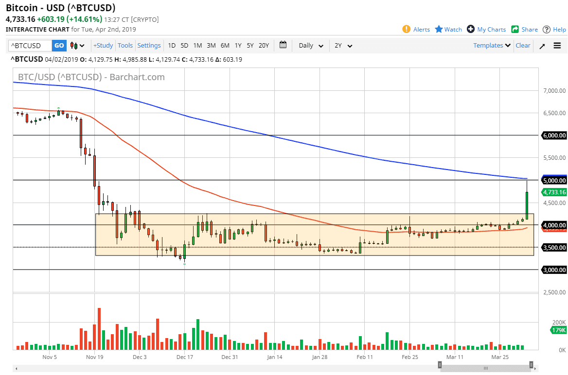 الرسم البياني اليومي للبيتكوين الرسم البياني اليومي للبيتكوين