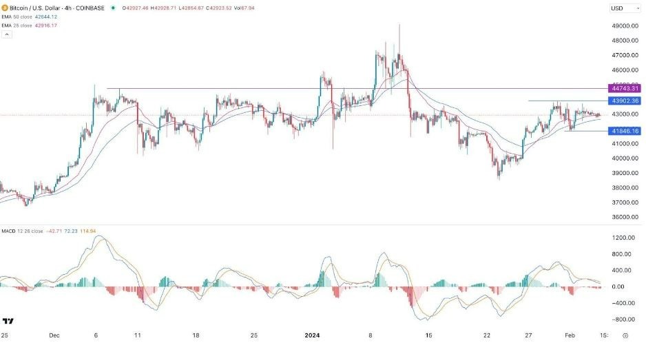 BTC/USD Hoy: Señal Forex 05/02 Gráfica | DailyForex.com
