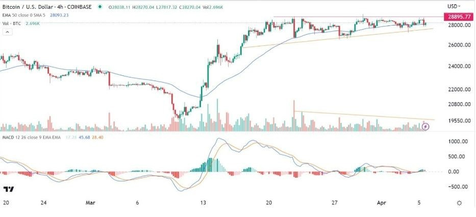 Gráfico de la Señal Forex BTC/USD