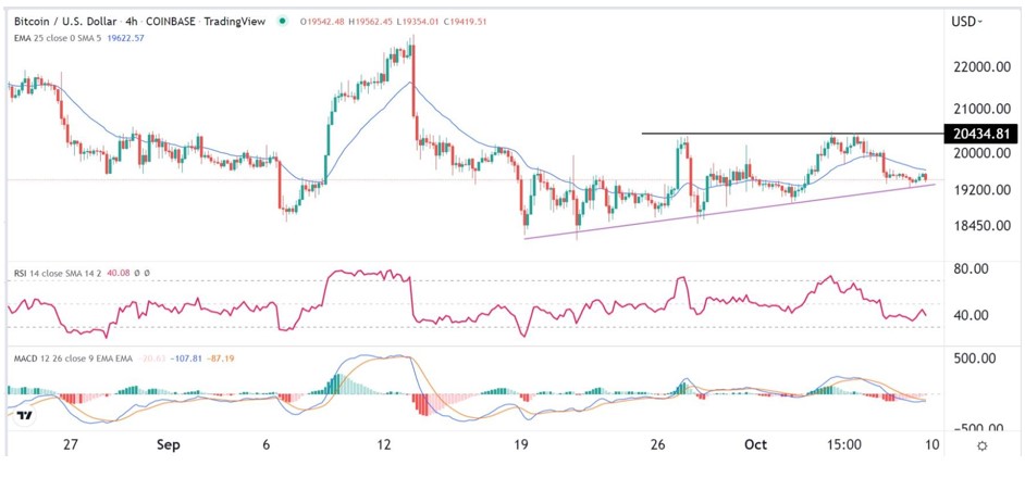 Señal Forex del BTC/USD Señal Forex del BTC/USD
