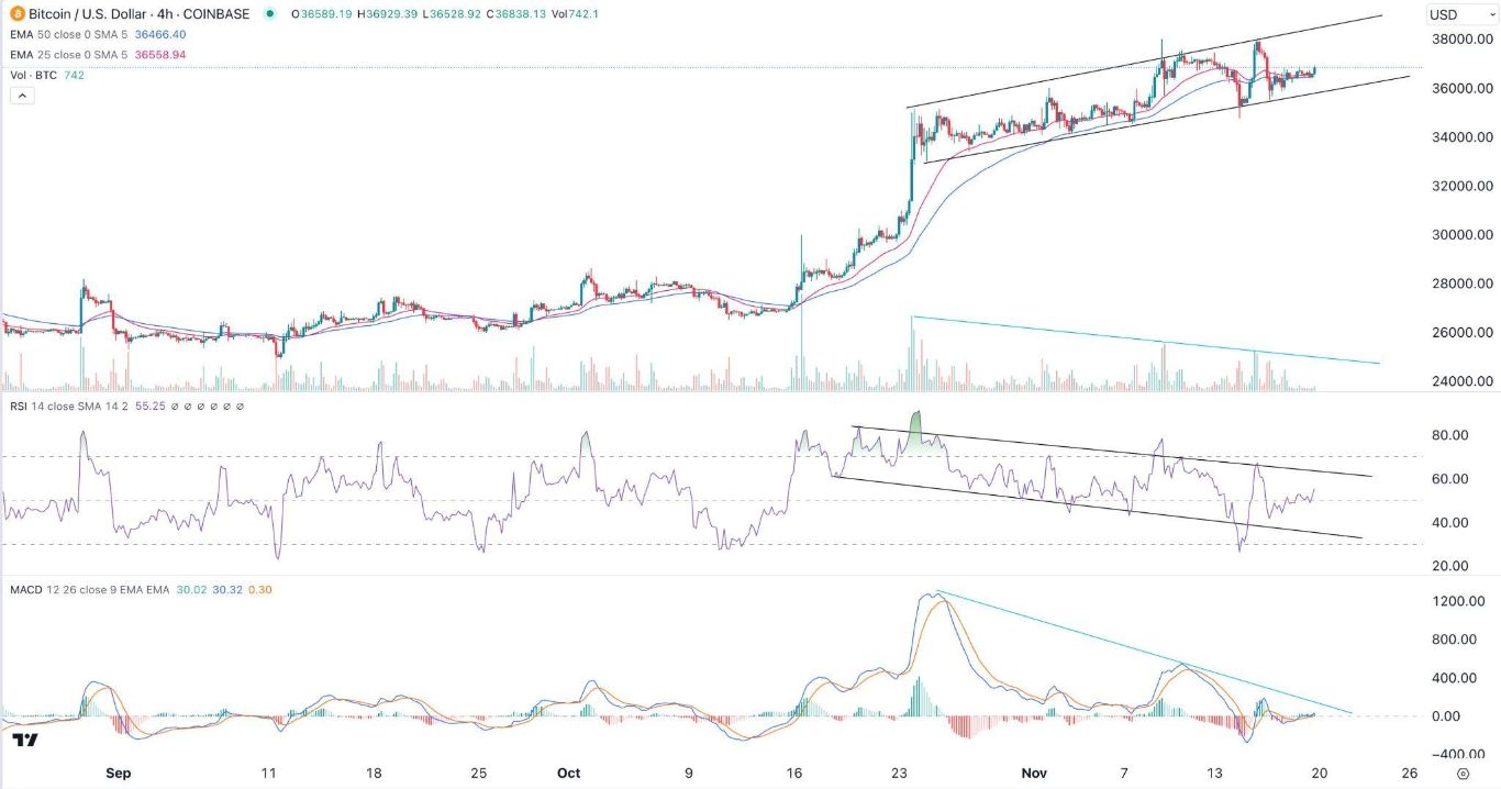 الرسم البياني لزوج البيتكوين/الدولار الأمريكي الرسم البياني لزوج البيتكوين/الدولار الأمريكي