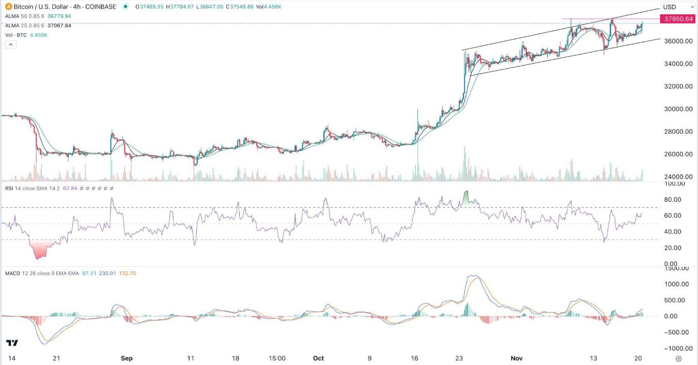 الرسم البياني لزوج البيتكوين/الدولار الأمريكي 