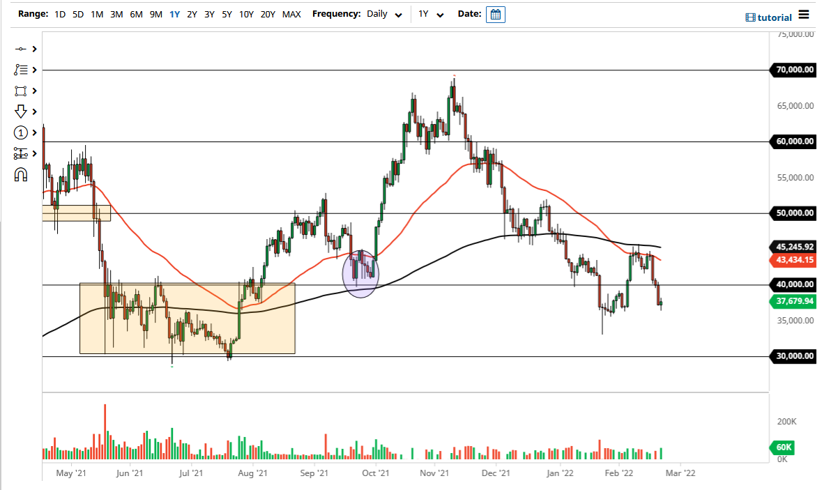 الرسم البياني اليومي لزوج البيتكوين مقابل الدولار الأمريكي الرسم البياني اليومي لزوج البيتكوين مقابل الدولار الأمريكي