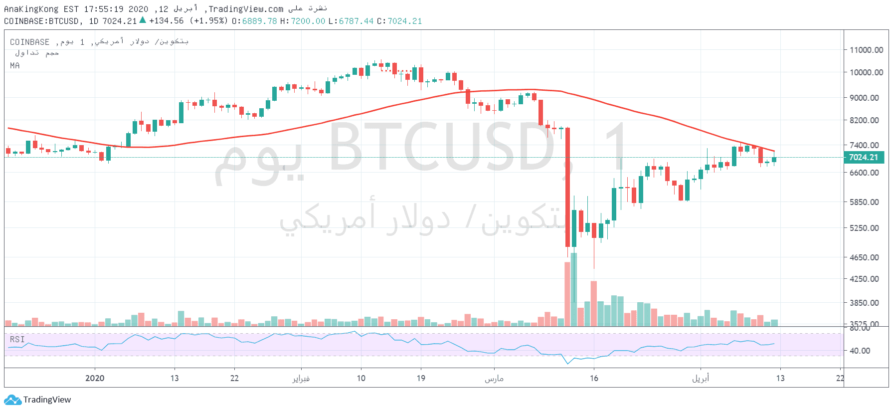 الرسم البياني الاسبوعي لزوج البيتكوين/الدولار الامريكي