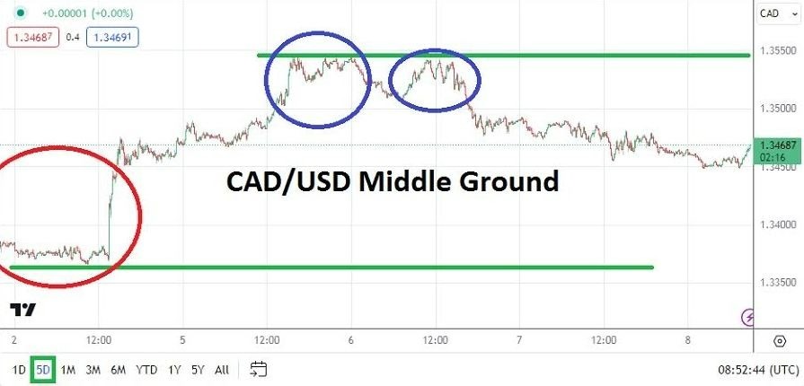 USD/CAD Hoy: Análisis 08/02 Gráfico | DailyForex.com
