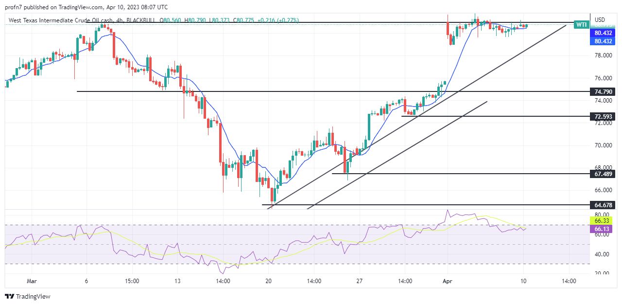 الرسم البياني اليومي للنفط الرسم البياني اليومي للنفط