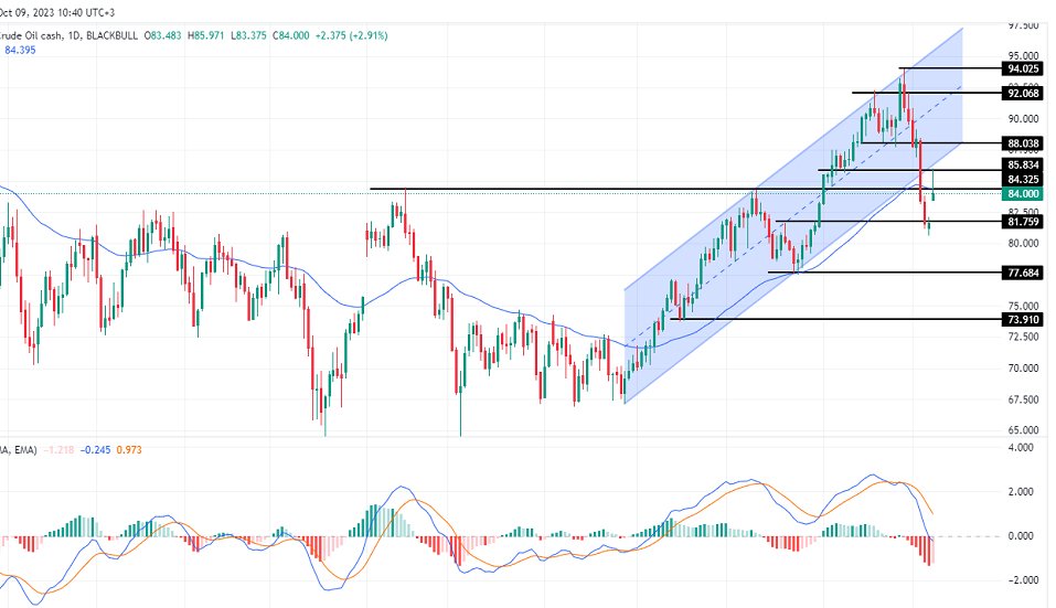 الرسم البياني لسعر النفط على الإطار الزمني لليوم         