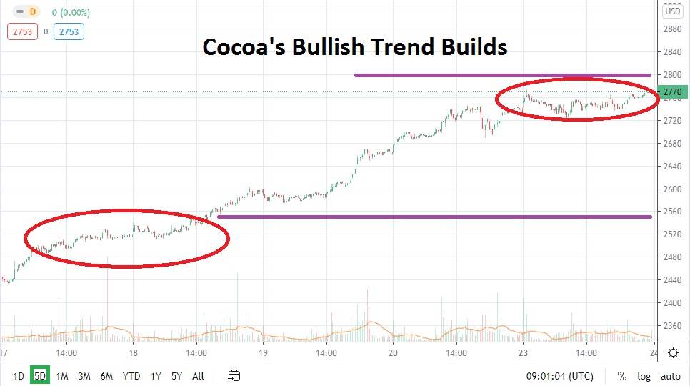Cocoa Cocoa