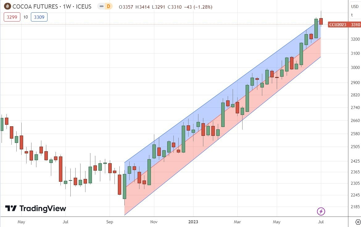 Gráfico Semanal del Cacao Gráfico Semanal del Cacao
