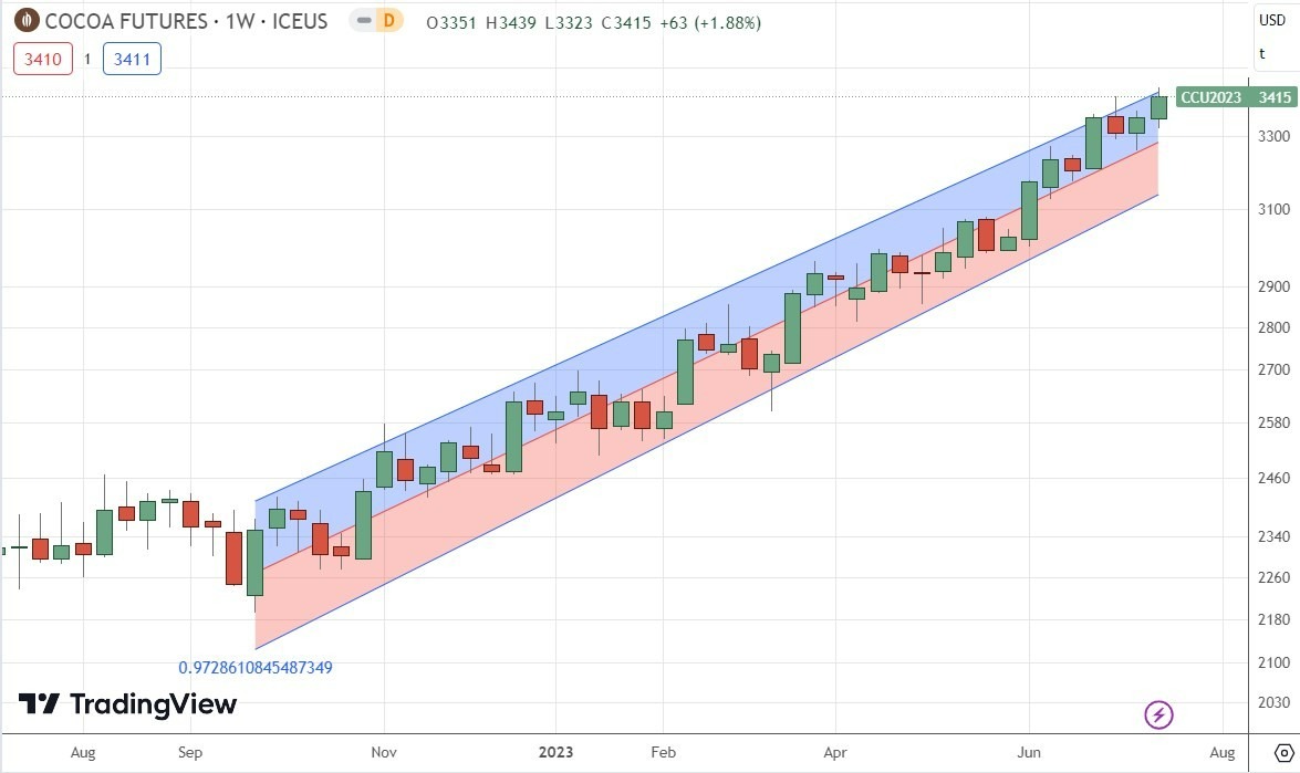 Gráfico Semanal del Cacao Gráfico Semanal del Cacao