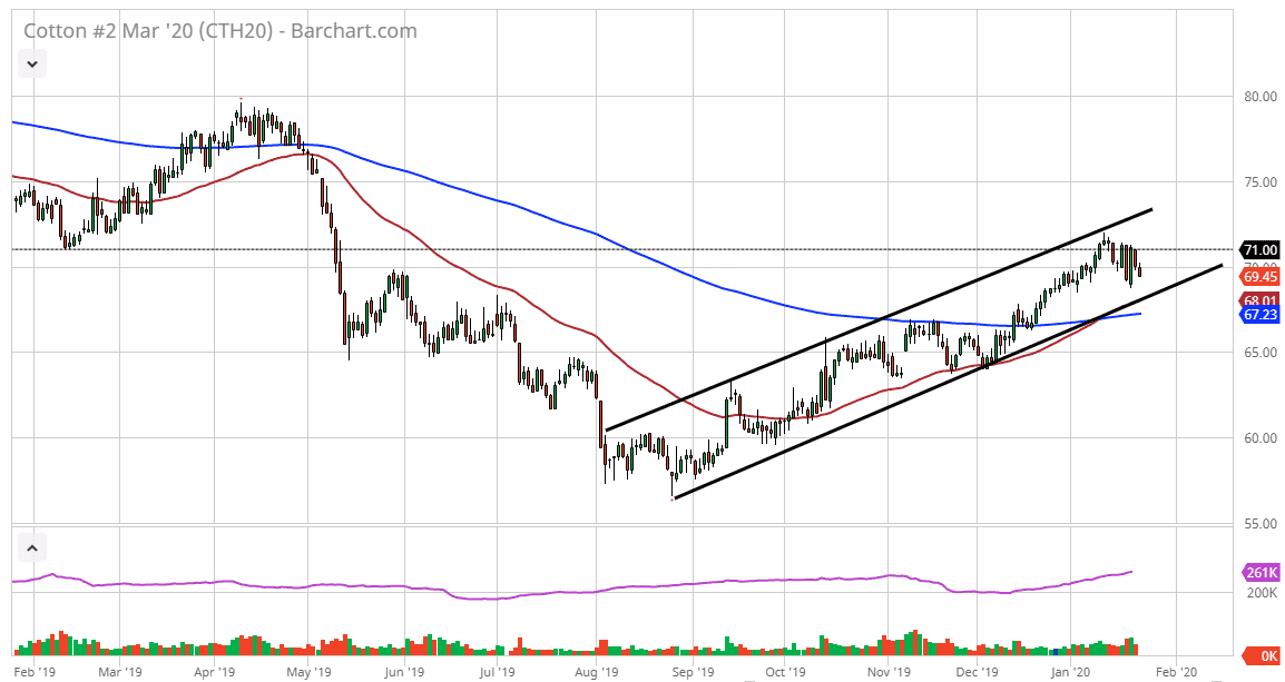 الرسم البياني للقطن