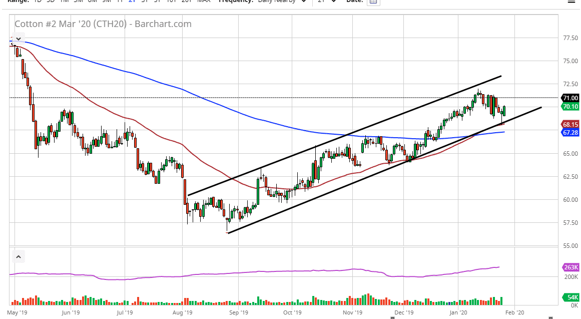 الرسم البياني للقطن