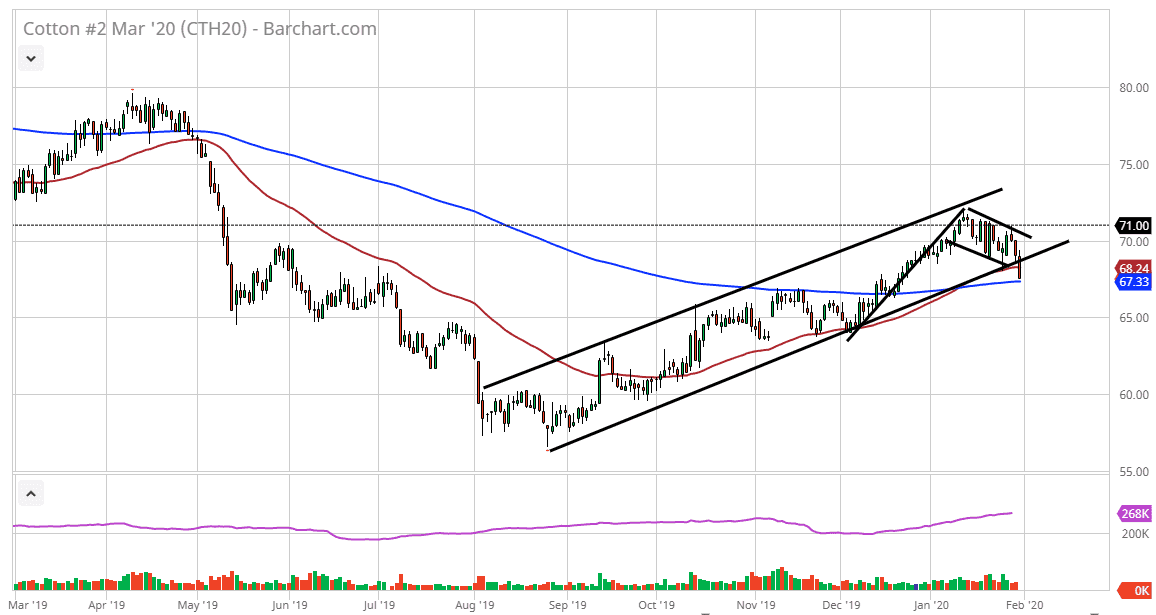 الرسم البياني للقطن الرسم البياني للقطن