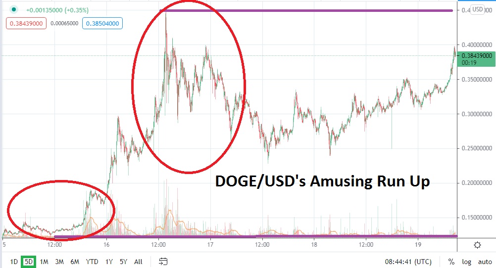 DOGE/USD DOGE/USD