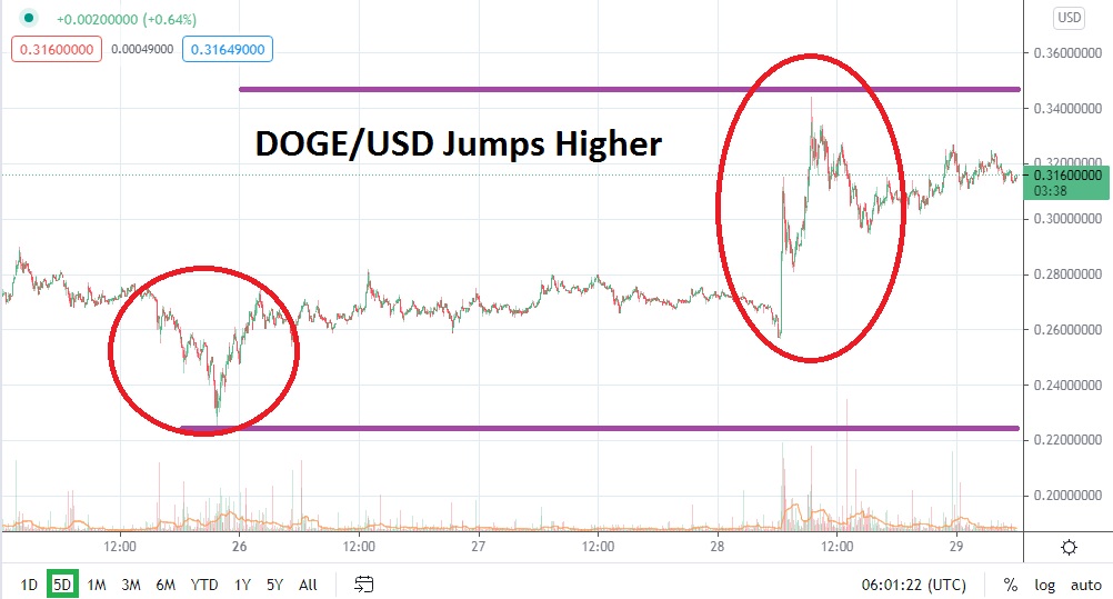 DOGE/USD DOGE/USD