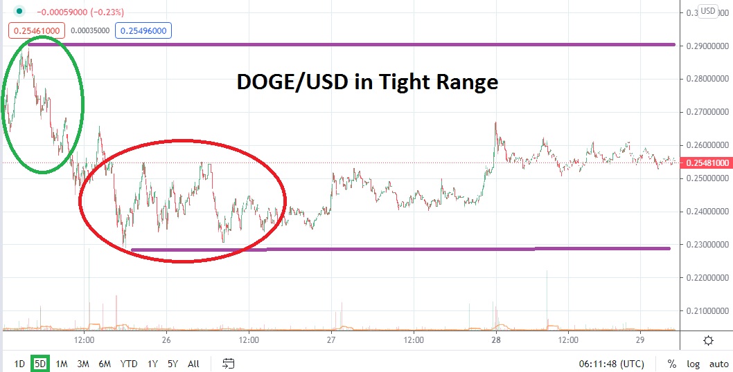 DOGE/USD DOGE/USD
