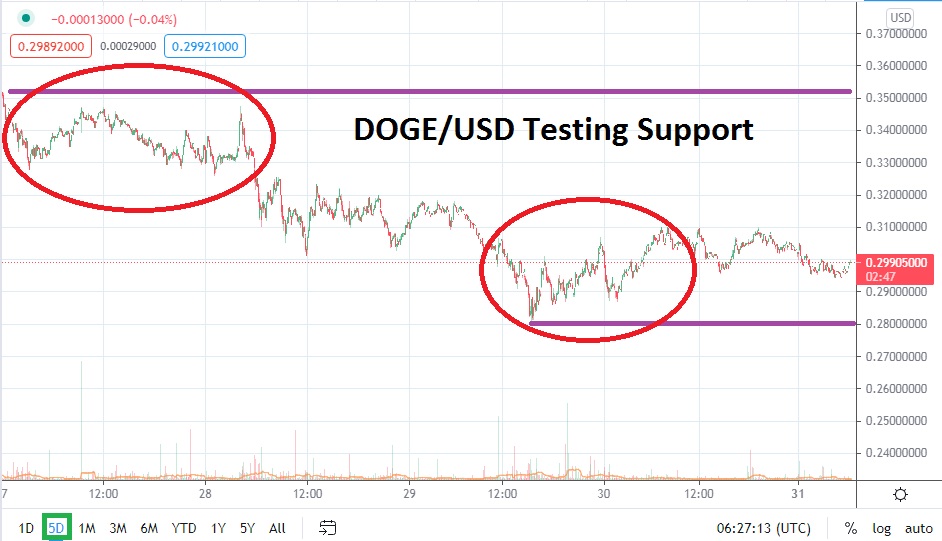 DOGE/USD DOGE/USD