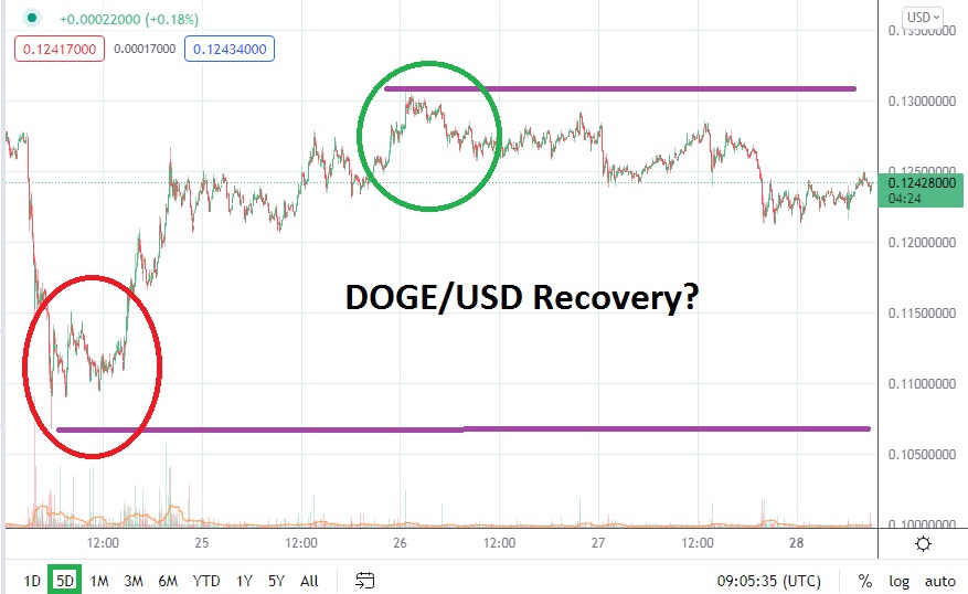 Dogecoin/USD Chart