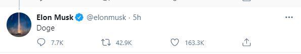 Elon Musk dogecoin Elon Musk Dogecoin