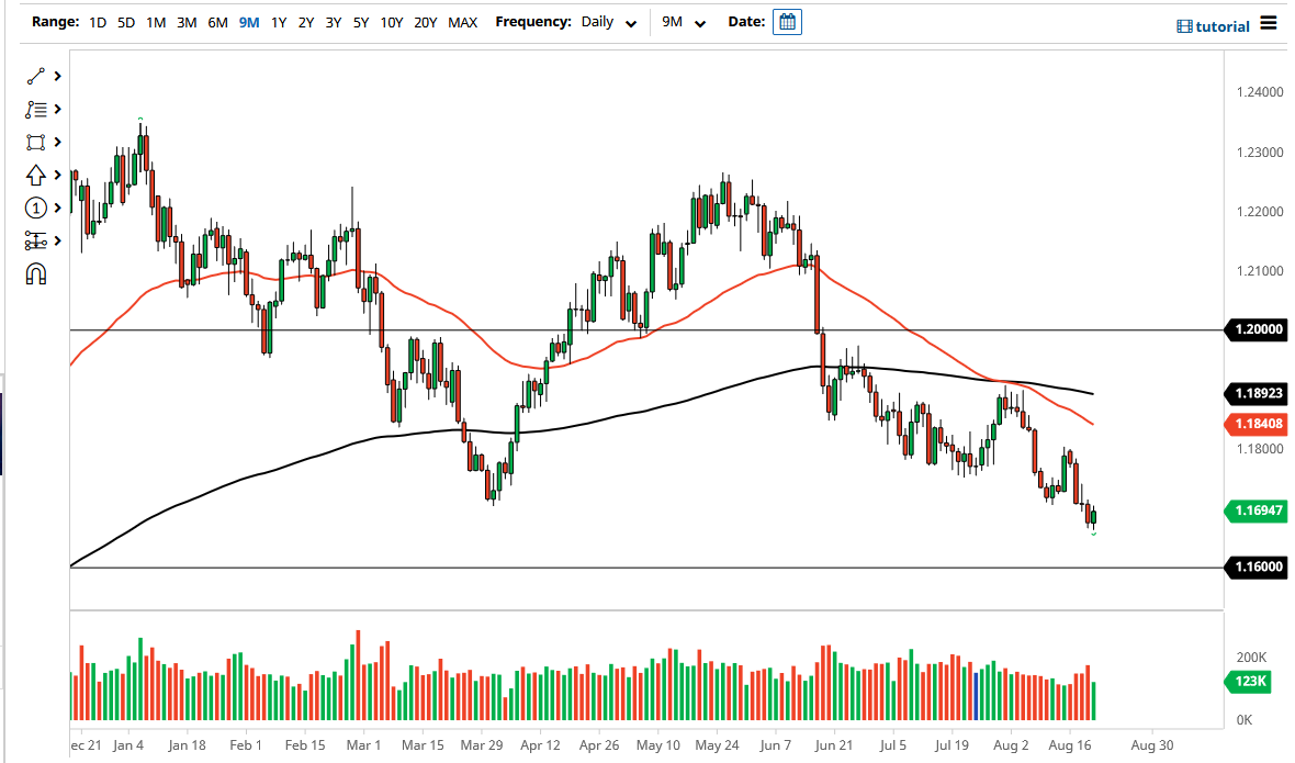 الرسم البياني اليومي لليورو مقابل الدولار الأمريكي