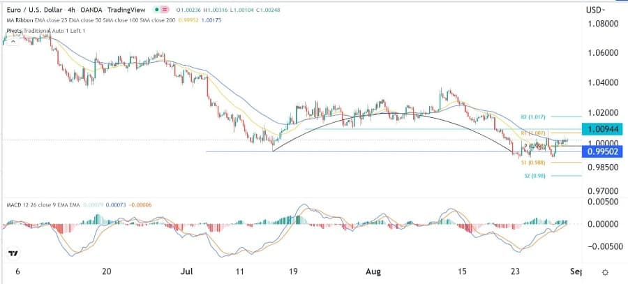 الرسم البياني اليومي لليورو مقابل الدولار الأمريكي