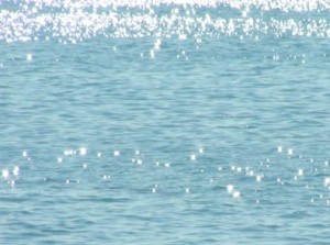 Picture 1479 Water Sea