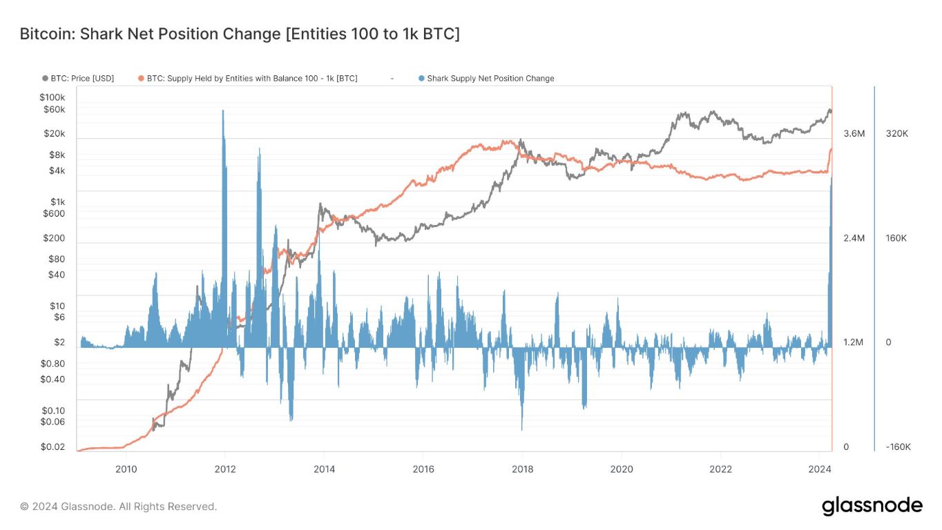 Grafico Glassnode - Variazione delle posizioni nette degli squali su Bitcoin nel Q1 2024 Grafico Glassnode - Variazione delle posizioni nette degli squali su Bitcoin nel Q1 2024