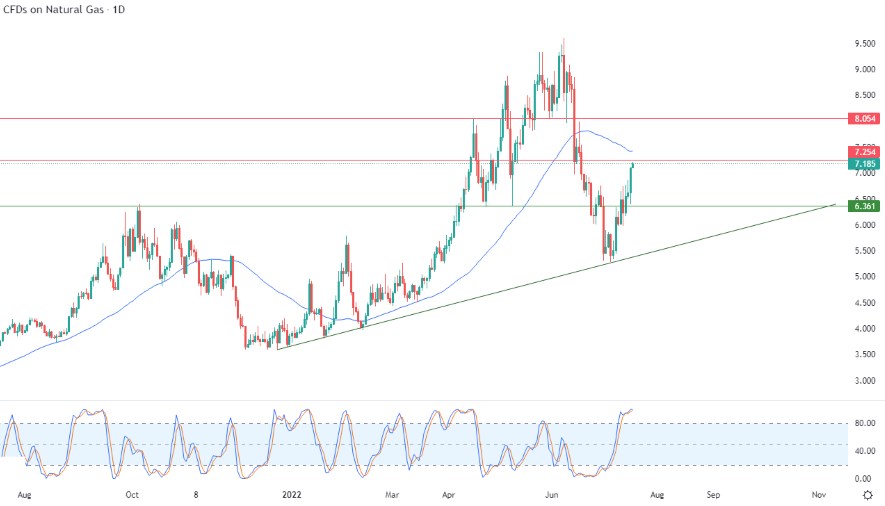 Análisis Técnico del Gas Natural