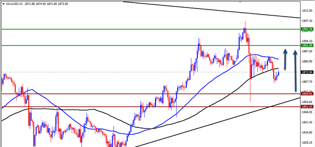 الرسم البياني اليومي للذهب الرسم البياني اليومي للذهب
