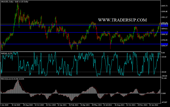 Análisis Técnico del Oro Análisis Técnico del Oro