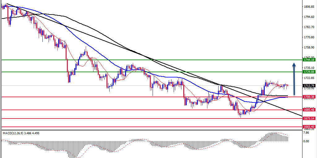 الرسم البياني اليومي للذهب الرسم البياني اليومي للذهب