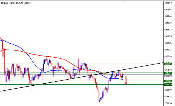 الرسم البياني اليومي للذهب