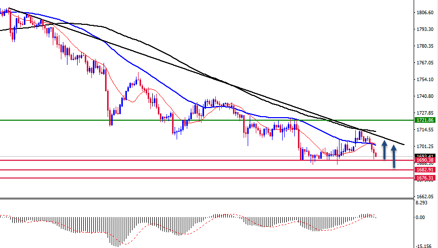 الرسم البياني اليومي للذهب الرسم البياني اليومي للذهب