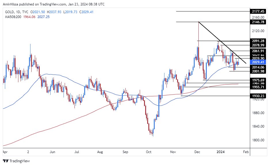 الرسم البياني اليومي للذهب الرسم البياني اليومي للذهب