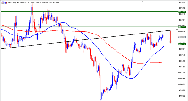 الرسم البياني اليومي للذهب الرسم البياني اليومي للذهب