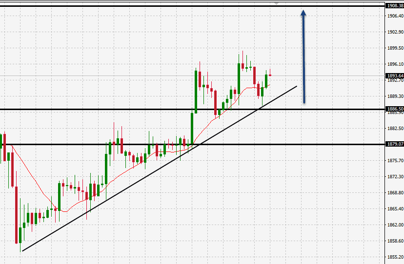 الرسم البياني اليومي للذهب