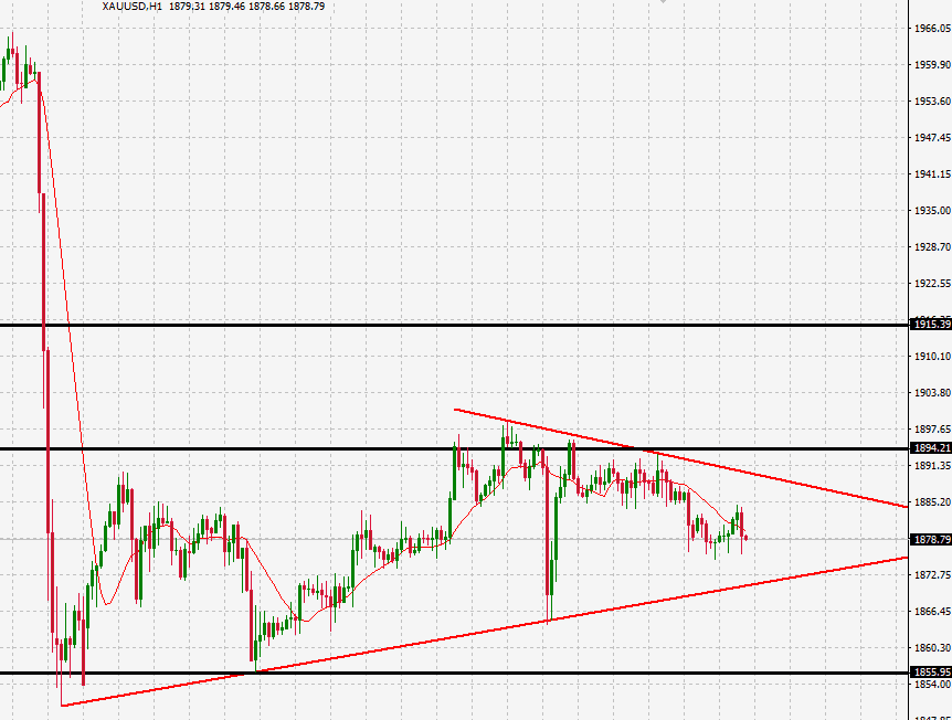 الرسم البياني اليومي للذهب الرسم البياني اليومي للذهب