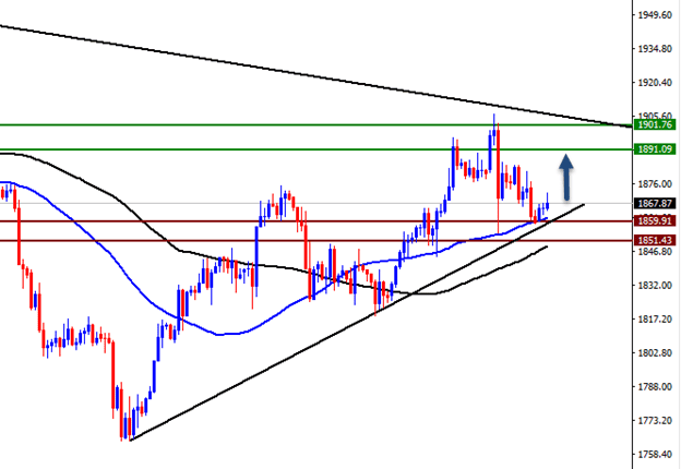 الرسم البياني اليومي للذهب الرسم البياني اليومي للذهب