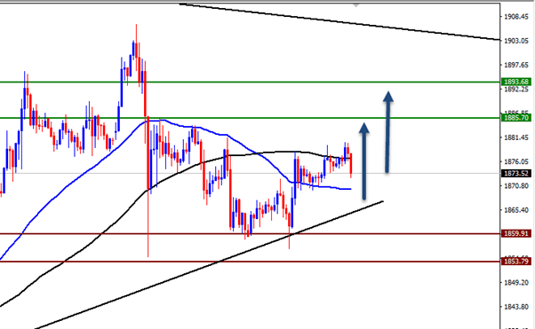 الرسم البياني اليومي للذهب الرسم البياني اليومي للذهب