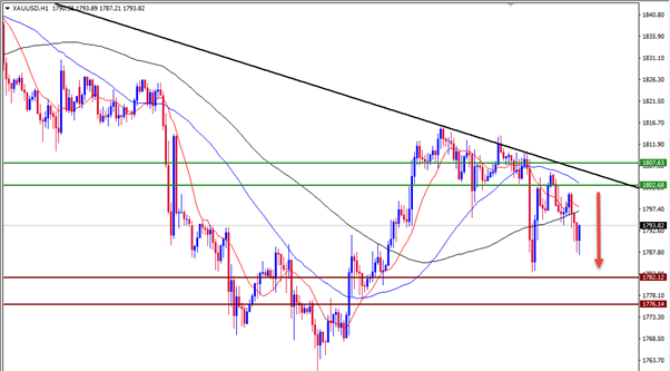 الرسم البياني اليومي لتوضية الذهب الرسم البياني اليومي لتوضية الذهب
