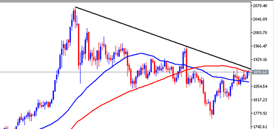 الرسم البياني الاسبوعي للذهب 