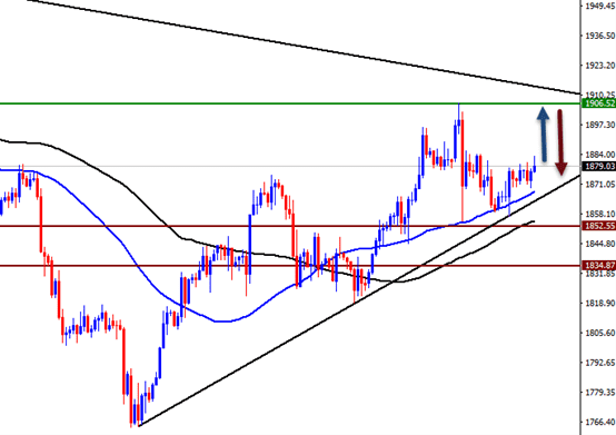الرسم البياني الاسبوعي للذهب