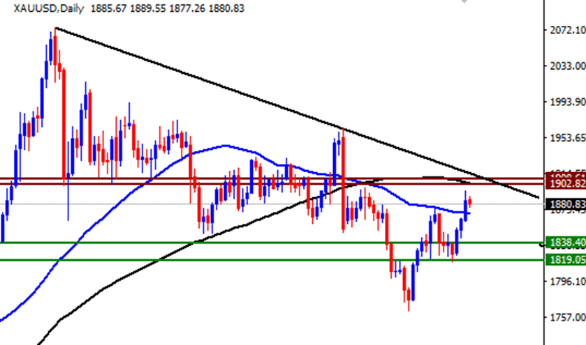 الرسم البياني اليومي للذهب