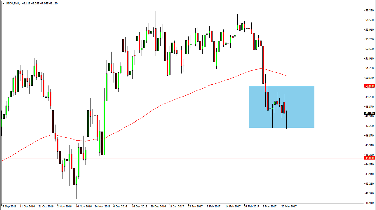 الرسم البياني اليومي للنفط الخام الرسم البياني اليومي للنفط الخام