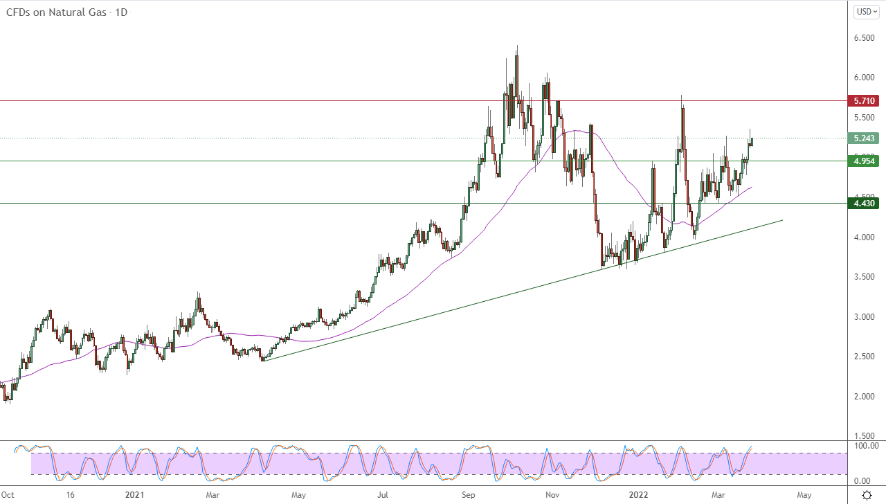 Análisis Técnico del Gas Natural
