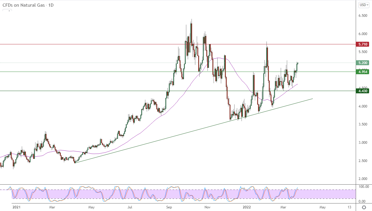 Análisis Técnico del Gas Natural